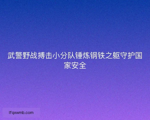 武警野战搏击小分队锤炼钢铁之躯守护国家安全