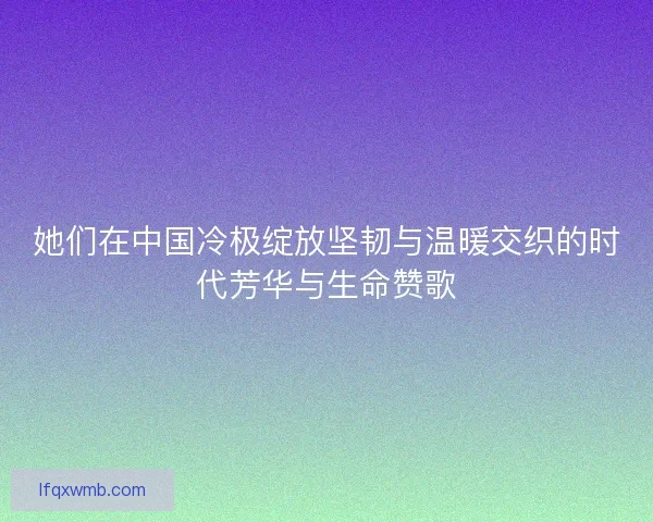 她们在中国冷极绽放坚韧与温暖交织的时代芳华与生命赞歌